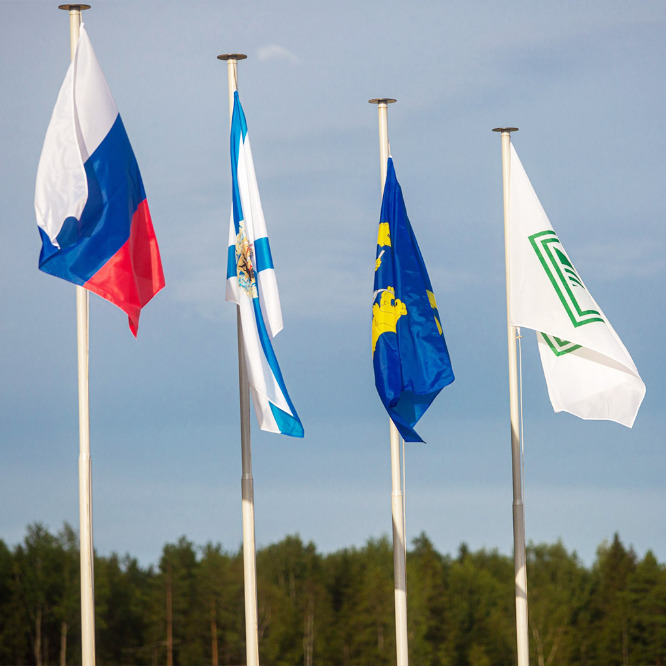 Флаги на площадке  чемпионата  России "Лесоруб 21 века"